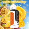 Lung Vapor Vape Big Smoke Single layer Mesh Vapmind Vape