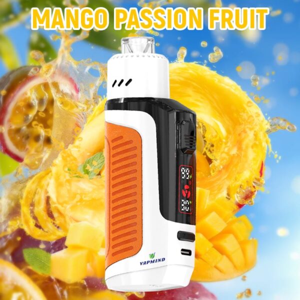 Lung Vapor Vape Big Smoke Single layer Mesh Vapmind Vape