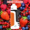 Lung Vapor Vape Big Smoke Single layer Mesh Vapmind Vape