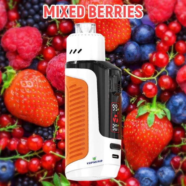 Lung Vapor Vape Big Smoke Single layer Mesh Vapmind Vape