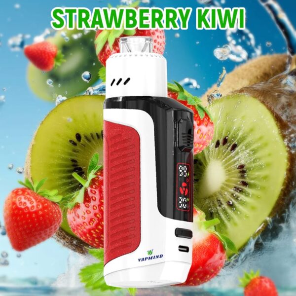 Lung Vapor Vape Big Smoke Single layer Mesh Vapmind Vape