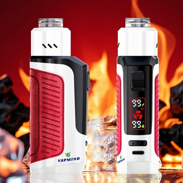 Lung Vapor Vape Big Smoke Single layer Mesh Vapmind Vape