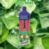 MTL Vape 9000 Puffs Disposable Vape Shop Vapmind Vape