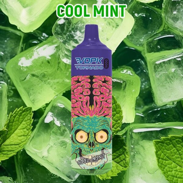 MTL Vape 9000 Puffs Disposable Vape Shop Vapmind Vape