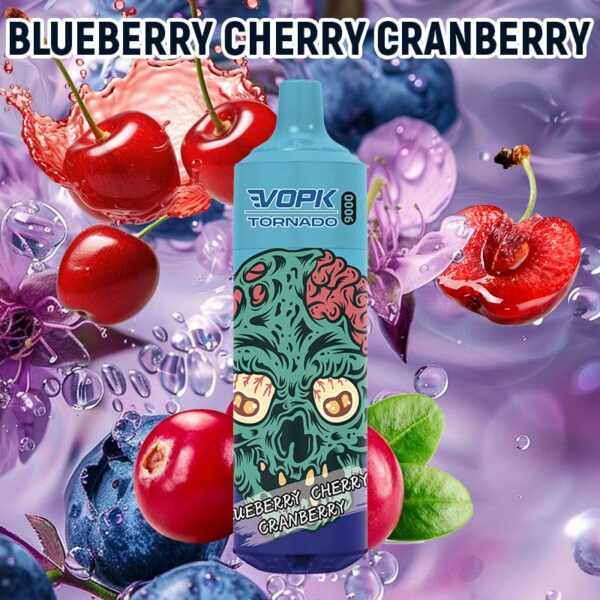 MTL Vape 9000 Puffs Disposable Vape Shop Vapmind Vape