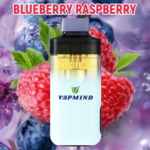 Refillable Disposable E Cigarette Vapmind Vape 20000 Puffs