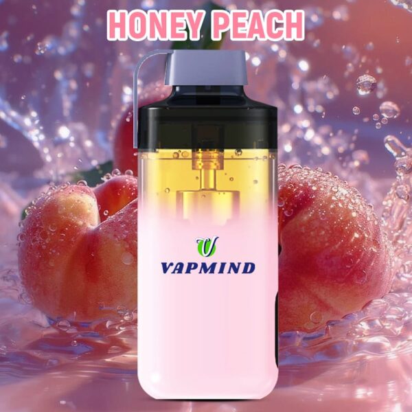 Refillable Disposable E Cigarette Vapmind Vape 20000 Puffs