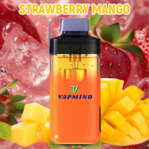 Refillable Disposable E Cigarette Vapmind Vape 20000 Puffs