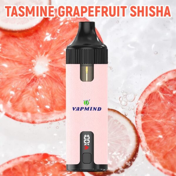 Repeat Refueling Vape Lung Disposable Vape Vapmind Vape