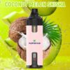 Repeat Refueling Vape Lung Disposable Vape Vapmind Vape