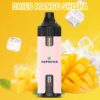 Repeat Refueling Vape Lung Disposable Vape Vapmind Vape