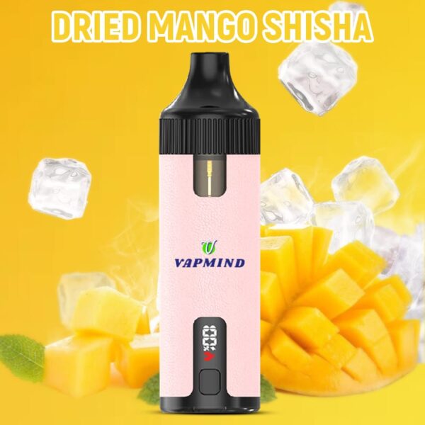 Repeat Refueling Vape Lung Disposable Vape Vapmind Vape