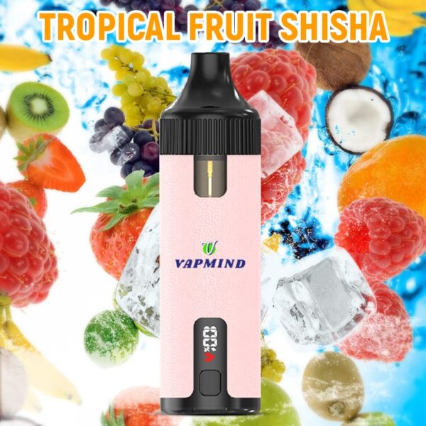 Repeat Refueling Vape Lung Disposable Vape Vapmind Vape