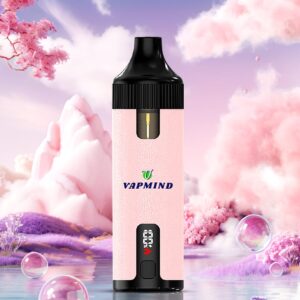 Repeat Refueling Vape Lung Disposable Vape Vapmind Vape