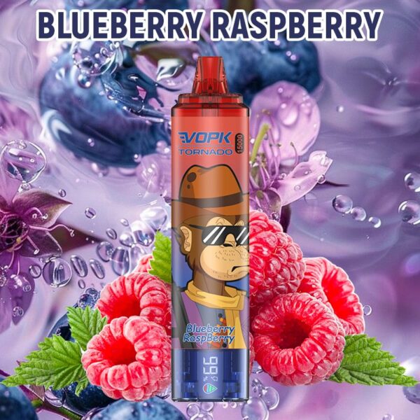Tobacco Shop Disposable Vape15000 Puffs Vapmind Vape