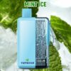 Best Vape Pens Disposable Vape 18000 Puffs Vapmind Vape Shop