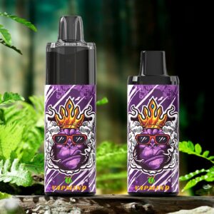 Vape Pods Kits of Vaping Smoking Vapmind Vape 15000 Puffs